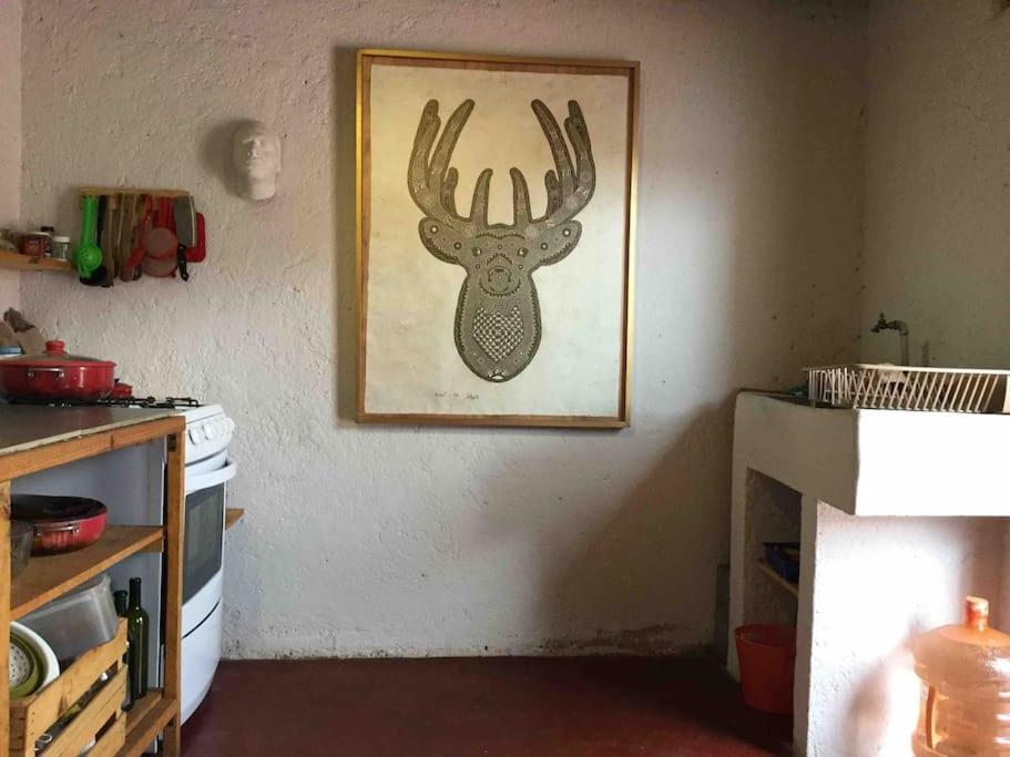 Casa Cerrillo Apartment San Cristobal de las Casas Luaran gambar