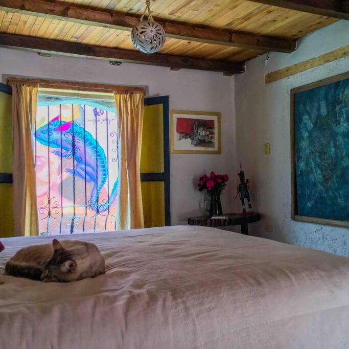 Casa Cerrillo Apartment San Cristobal de las Casas Luaran gambar